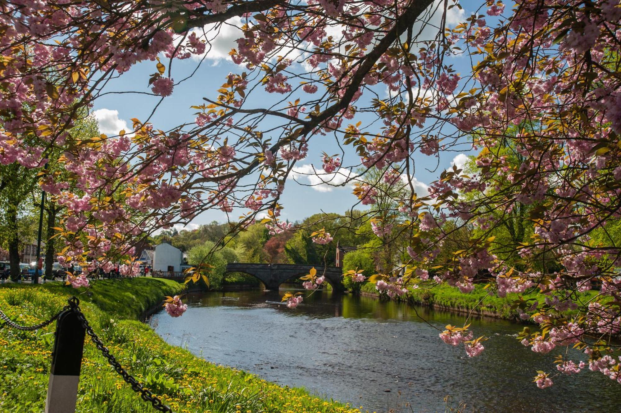 Little Apple Cottage- Free Parking, Hot Tub, Fire, Town Centre Appleby-in-Westmorland 外观 照片